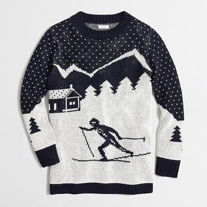 J Crew Ski Scene / Skier Sweater